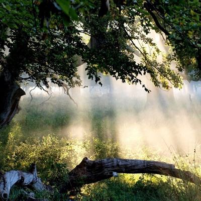 棋牌游戏app下载