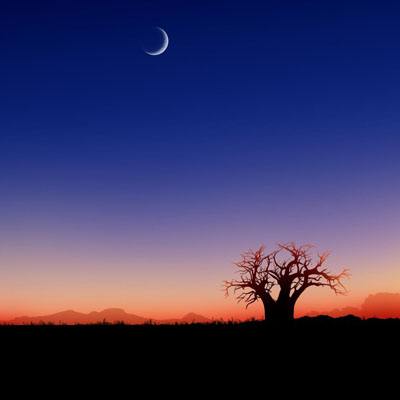 乐鱼·(LEYU)体育官方网站