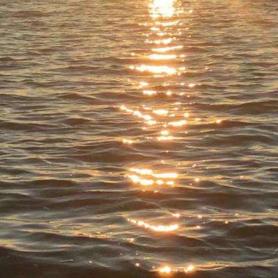 澳门·新甫京娱乐娱城