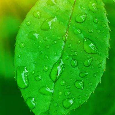 澳门·新甫京娱乐娱城